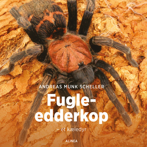 Fugle-edderkop - et kæledyr, Andreas Scheller