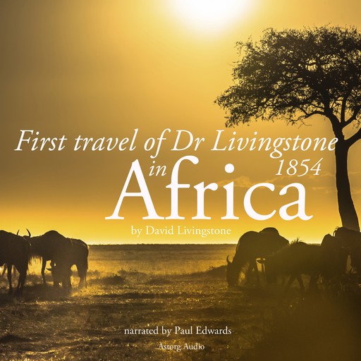 First Travel of Dr Livingstone in Africa, David Livingstone