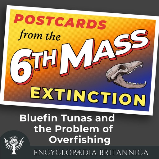 Bluefin Tunas and the Problem of Overfishing, John Rafferty