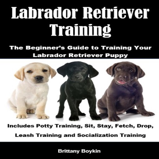 Labrador Retriever Training: The Beginner’s Guide to Training Your Labrador Retriever Puppy, Brittany Boykin