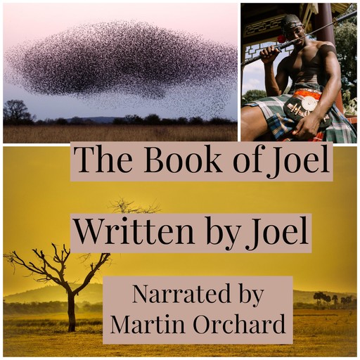 The Book of Joel - The Holy Bible King James Version, Joel