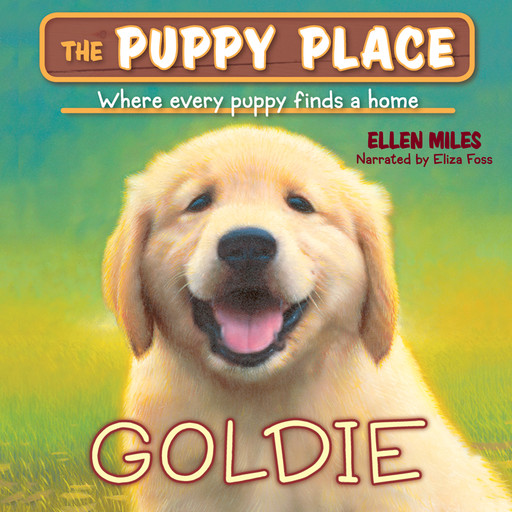 Goldie (The Puppy Place #1), Ellen Miles