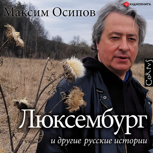 "Люксембург" и другие русские истории, Максим Осипов