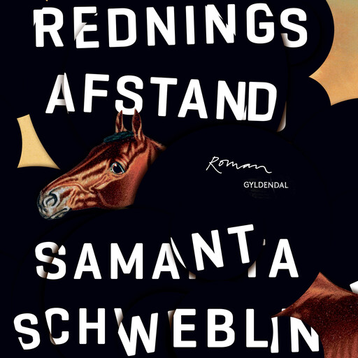 Redningsafstand, Samanta Schweblin
