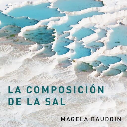 La composición de la sal, Magela Baudoin