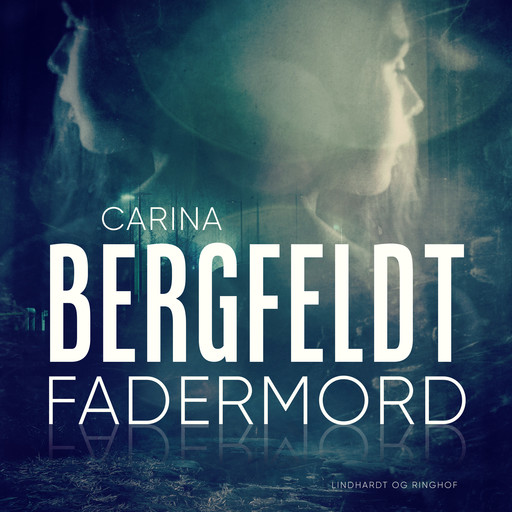 Fadermord, Carina Bergfeldt