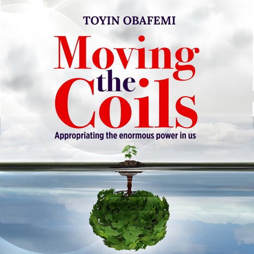 MOVING THE COILS, Appropriating the enormous power in us, Toyin Obafemi
