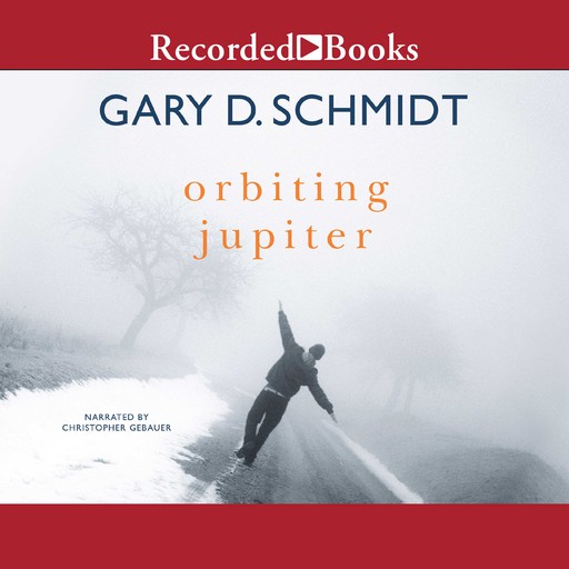 Orbiting Jupiter, Gary Schmidt