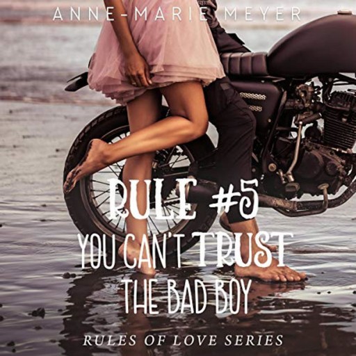 Rule #4: You Can't Trust the Bad Boy, Anne-Marie Meyer