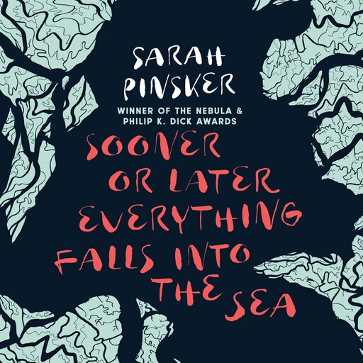 Sooner or Later Everything Falls Into the Sea, Sarah Pinsker