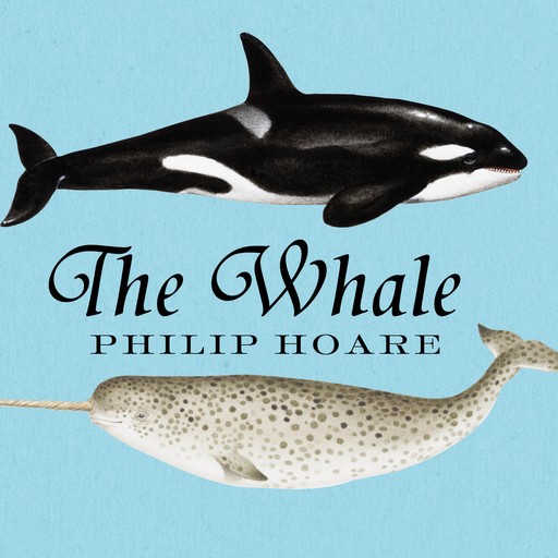 The Whale, Philip Hoare
