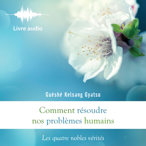 Comment résoudre nos problèmes humains, Guéshé Kelsang Gyatso