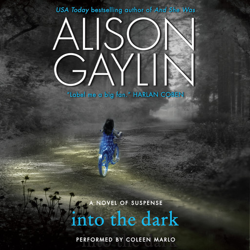 Into the Dark, Alison Gaylin
