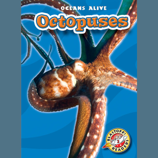 Octopuses, Ann Herriges