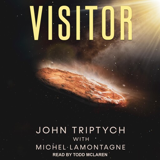 Visitor, John Triptych
