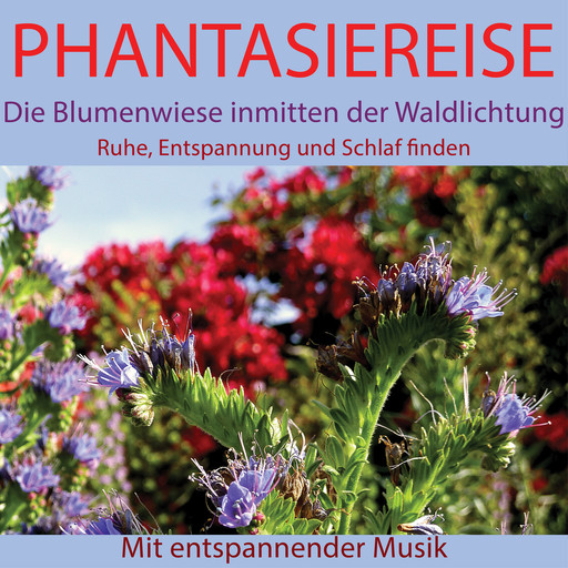 Phantasiereise: Die Blumenwiese inmitten der Waldlichtung, Maximilian Neumann