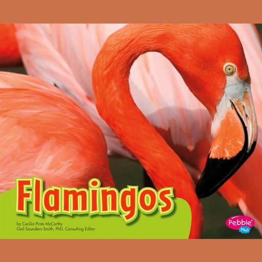 Flamingos, Cecilia Pinto McCarthy