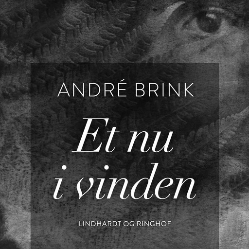Et nu i vinden, Andre Brink