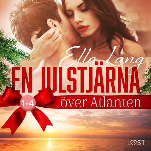 En julstjärna över Atlanten 1-4: Erotisk adventskalender, Ella Lang