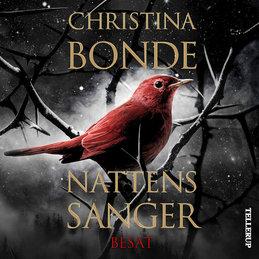Nattens sanger #1: Besat, Christina Bonde
