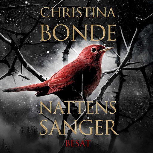 Nattens sanger #1: Besat, Christina Bonde
