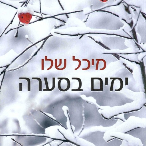 ימים בסערה, מיכל שלו