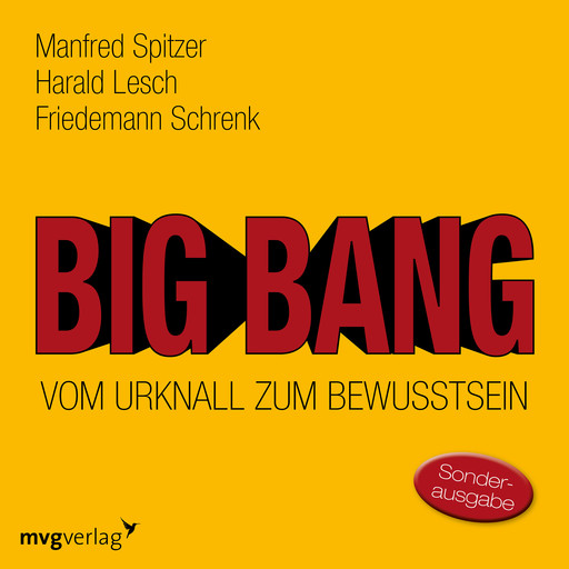 Big Bang: Vom Urknall zum Bewusstsein, Harald Lesch, Friedemann Schrenk, Manfred Spitzer