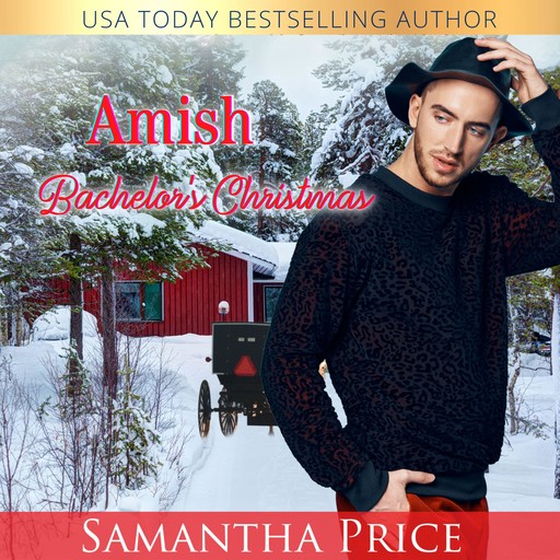 Amish Bachelor's Christmas, Samantha Price