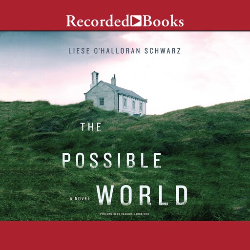 The Possible World, Liese O'Halloran Schwarz