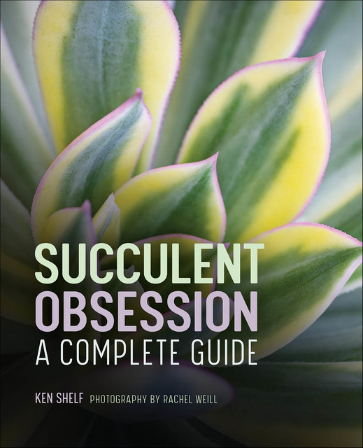 Succulent Obsession, Ken Shelf