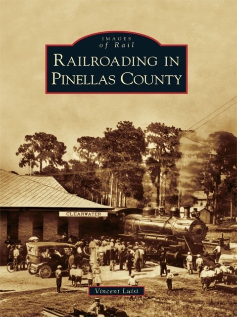 Railroading in Pinellas County, Vincent Luisi