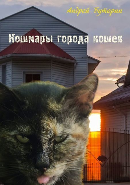 Кошмары города кошек, Андрей Буторин