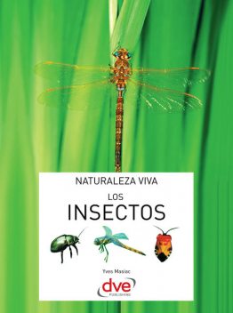 Los insectos, Yves Masiac