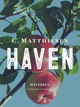 Haven, C. Matthiesen