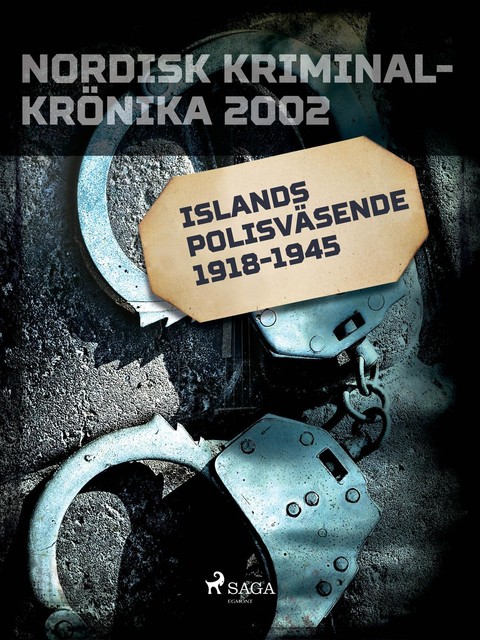 Islands polisväsende 1918–1945, - Diverse