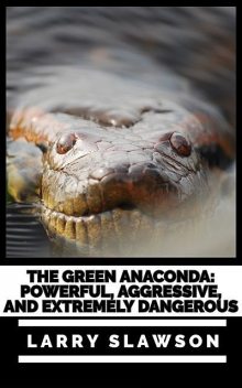 The Green Anaconda, Larry Slawson
