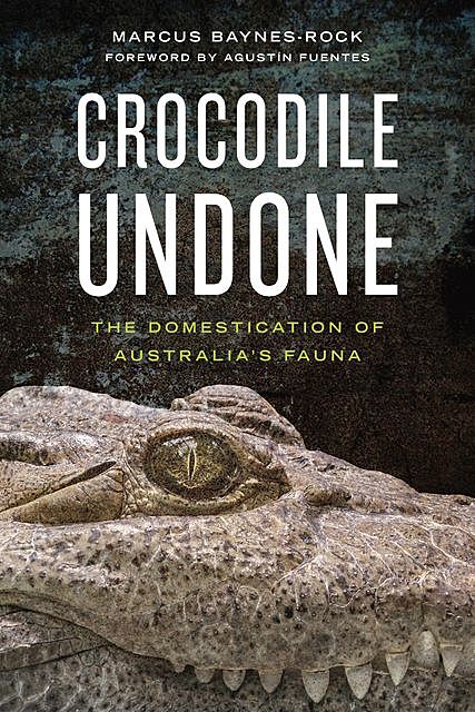 Crocodile Undone, Marcus Baynes-Rock