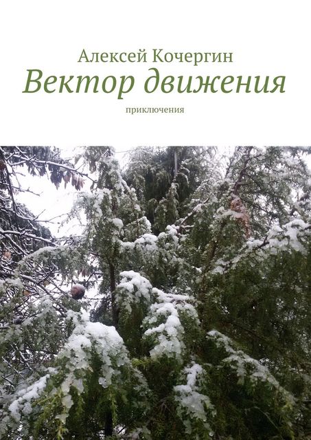 Вектор движения. Приключения, Алексей Кочергин