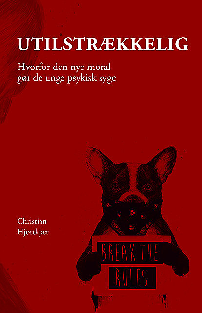 Utilstrækkelig, Christian Hjortkjær