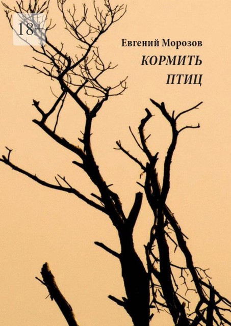 Кормить птиц, Евгений Морозов