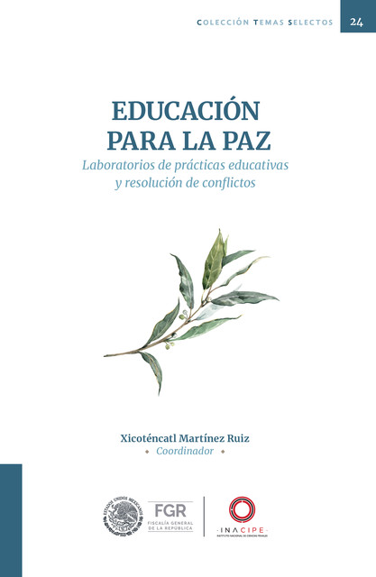 Educación para la paz, Xicoténcatl Martínez Ruiz
