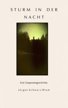 Sturm in der Nacht, Jürgen Schwarz Blum
