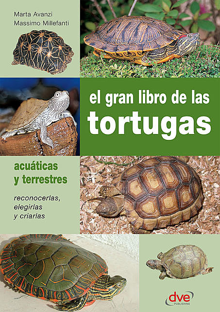 El gran libro de las tortugas, Massimo Millefanti, Marta Avanzi