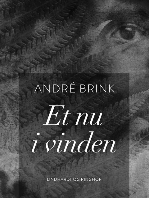 Et nu i vinden, Andre Brink