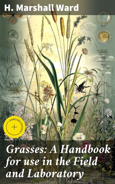 Grasses: A Handbook for use in the Field and Laboratory, H.Marshall Ward