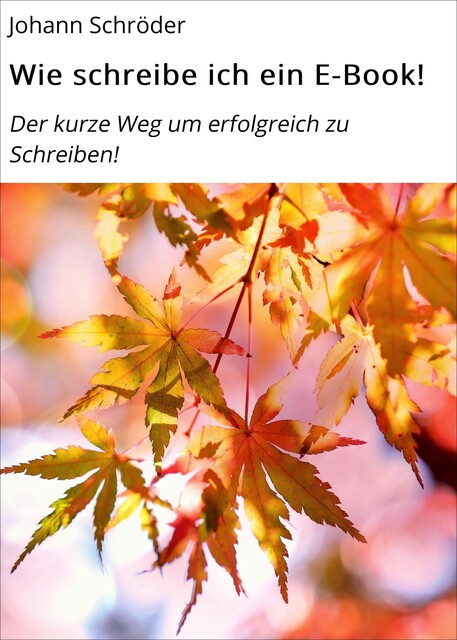 Wie schreibe ich ein E-Book, Johann Schröder