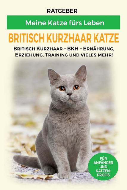 Britisch Kurzhaar Katze, Meine Katze fürs Leben Ratgeber