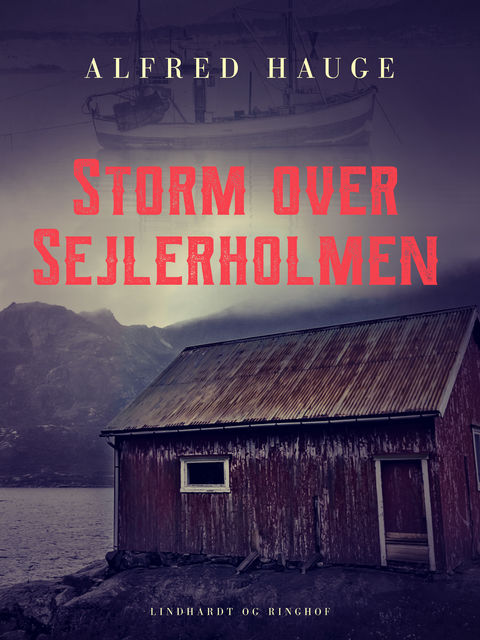Storm over Sejlerholmen, Alfred Hauge