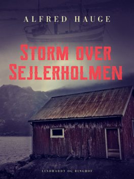 Storm over Sejlerholmen, Alfred Hauge