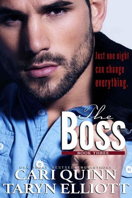 The Boss Vol. 3: a Hot Billionaire Romance, Quinn, Cari, Elliott, Taryn